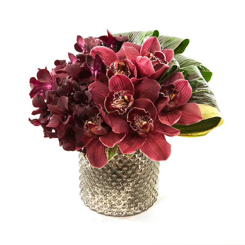 ORCHID MEDLEY